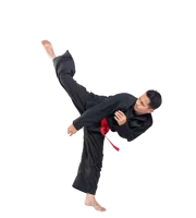 Adult Martial Arts